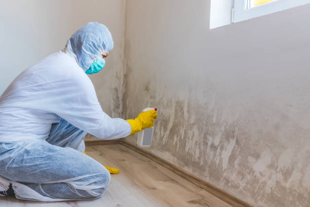 Licensed Mold Testing service in Farmersville, TX - WQB Mold Removal