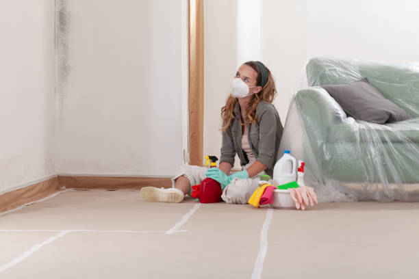 Reliable Mold Testing contractor in Farmersville, TX by WQB Mold Removal